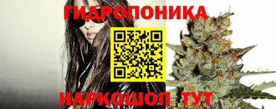 jwh Гатчина