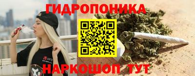 jwh Гатчина