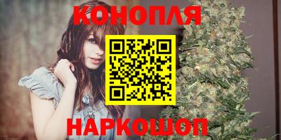 jwh Гатчина