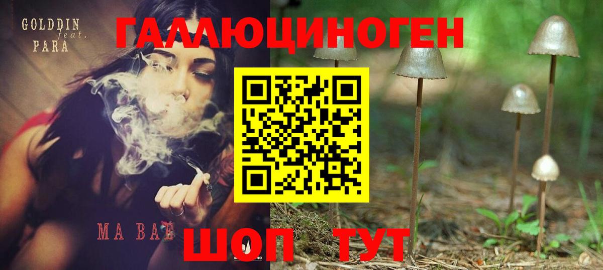 Галлюциногенные грибы Psilocybe  Псилоцибиновые грибы Psilocybine cubensis  Вход с VPN  Мичуринск 